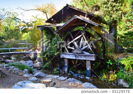 A quaint watermill at Kyoto Botanical Gardens in autumn 85229578