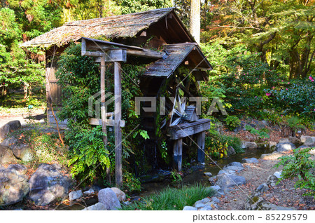 Healed by the watermill of Kyoto Botanical Gardens in autumn Healed by the watermill of Kyoto Botanical Gardens in autumn 85229579