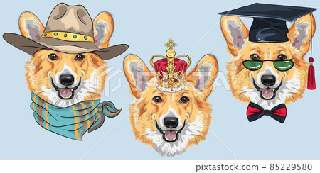 Set dog Pembroke Welsh corgi 85229580