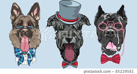 vector funny cartoon hipster dog German shepherd 85229581