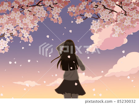 Girl looking up at the cherry blossoms 85230032