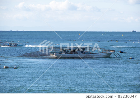 明石釣魚 明石釣魚 85230347