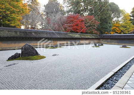 Ryoanji寺廟石庭院 85230361