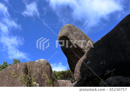 Tojindaba Kameishi Winter (Tosashimizu City, Kochi Prefecture) Tojindaba Kameishi Winter (Tosashimizu City, Kochi Prefecture) 85230757