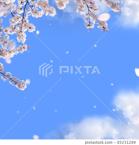 櫻花和藍天的簡單材料 85231289