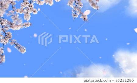 櫻花和藍天的簡單材料 85231290