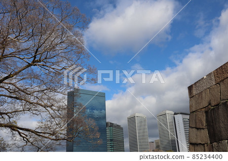 白雲、灰雲、藍天、大樹冬枯、石牆前摩天大樓 白雲、灰雲、藍天、大樹冬枯、石牆前摩天大樓 85234400