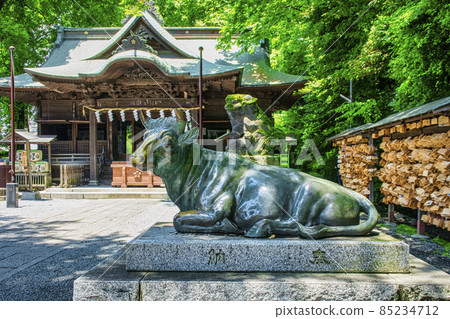 日本東部最古老的八寶天滿宮位於東京國都 85234712