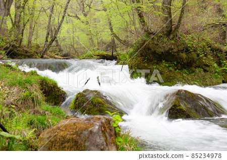 Fast flowing stream Fast flowing stream 85234978