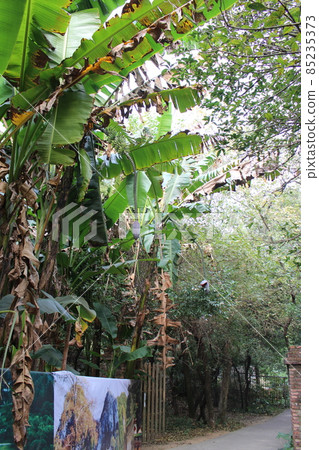 桂林/駱駝岩、七星公園 85235373