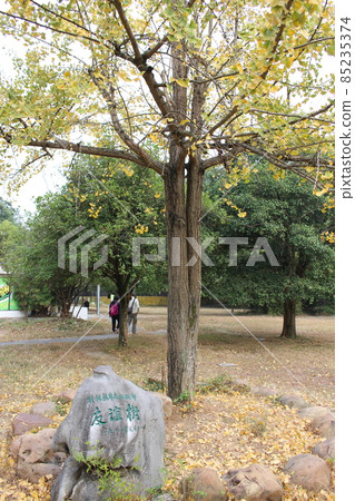 桂林/駱駝岩、七星公園 85235374