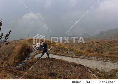 Longsheng Rice Terraces, Longsheng Terrace, Guilin, China 85235682