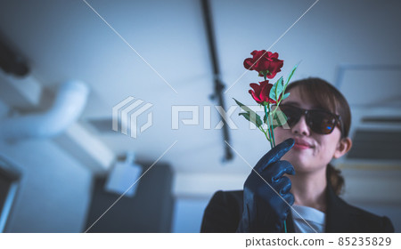 female, lady, woman 85235829