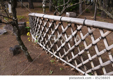 曲線之美 Koetsugaki 85236605