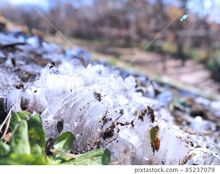 frost pillar 85237079