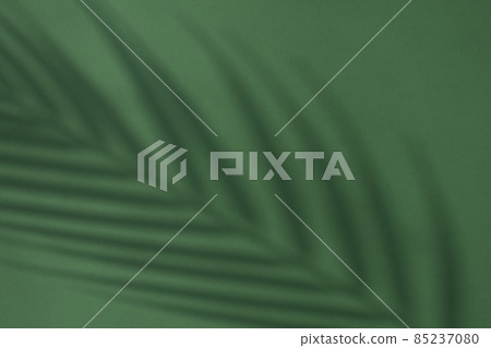 Green background and plant shadows 85237080