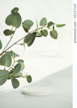 Podium and marble background for product photography 85237147
