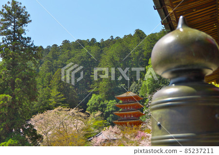 我在奈良的長谷寺拍了一張五層寶塔與吉寶並排的照片。 我在奈良的長谷寺拍了一張五層寶塔與吉寶並排的照片。 85237211