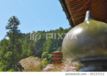 我在奈良的長谷寺拍了一張五層寶塔與吉寶並排的照片。 85237212