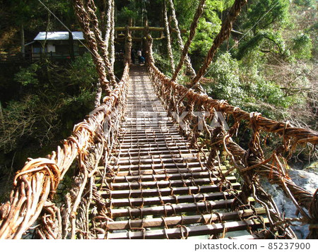 Kazura Bridge in Iya Kazura Bridge in Iya 85237900