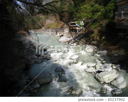 Iya的Kazura橋 Iya的Kazura橋 85237902