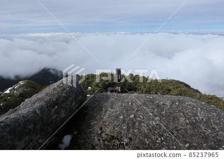 Yakushima Takeshi Nagata Yakushima Takeshi Nagata 85237965