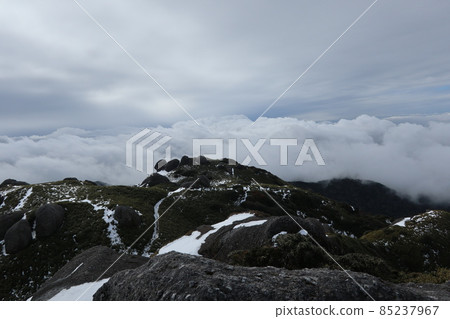 Yakushima Miyanpoakake Yakushima Miyanpoakake 85237967