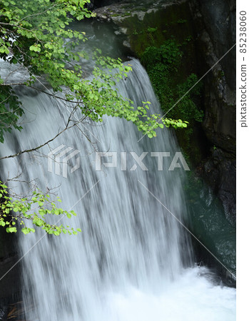Nippara mountain stream limestone cave Okutama shooting spot 85238060