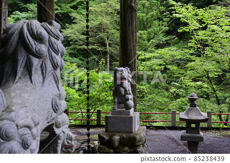Ishiyama Shrine Nippara Keiryu Okutama shooting spot 85238439