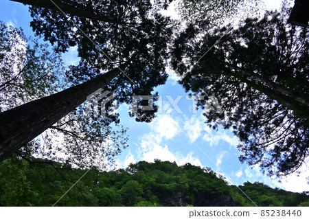 石山神社 Nippara Keiryu Okutama 拍攝地 85238440
