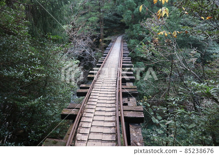 屋久島卡車路 85238676