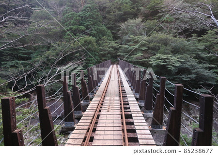 屋久島卡車路 85238677