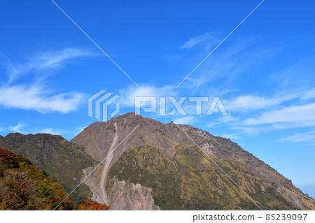 Heisei Niiyama Heisei Niiyama 85239097