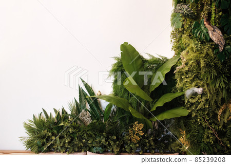 green foliage on a white background. Place for the inscription green foliage on a white background. Place for the inscription 85239208
