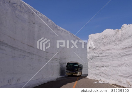 Tateyama Alpine Snow Corridor 85239500
