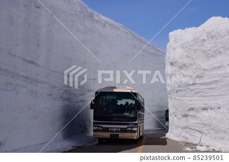 Tateyama Alpine Snow Corridor 85239501