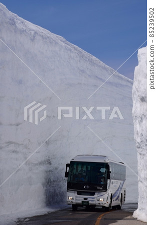 立山高山雪廊 85239502