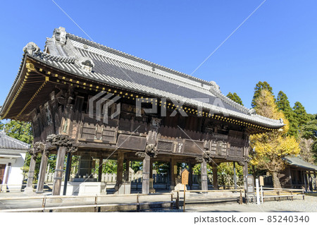 成田山學堂之秋 成田山學堂之秋 85240340