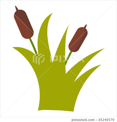 Cute reeds in cartoon style isolated on white... - Stock Illustration ...