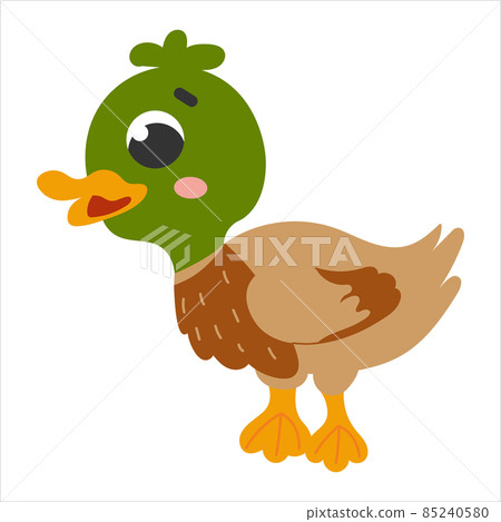 Cute green duck in cartoon style isolated on white background, farm animal, rural lifestile concept for children Cute green duck in cartoon style isolated on white background, farm animal, rural lifestile concept for children 85240580