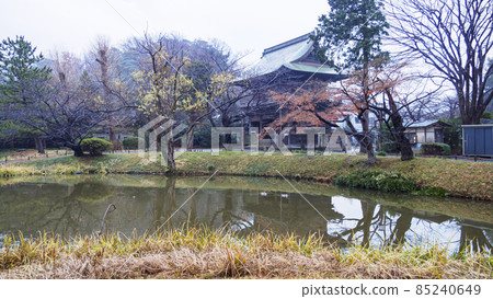 Winter of Shomyoji Temple in Kanazawa Ward, Yokohama City, Kanagawa Prefecture, of Hojo's Bodaiji Temple, which is related to the Kamakura Shogunate Winter of Shomyoji Temple in Kanazawa Ward, Yokohama City, Kanagawa Prefecture, of Hojo's Bodaiji Temple, which is related to the Kamakura Shogunate 85240649