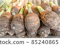 fresh natural taro in the rural market in Thailand 85240865