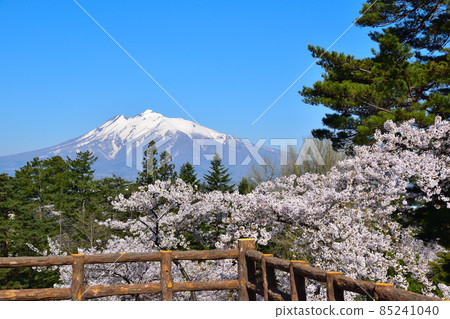 Sakura view Hirosaki Park Mt. Iwaki 85241040