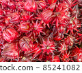 A large number of Roselle fruits in the community market in Thailand 85241082