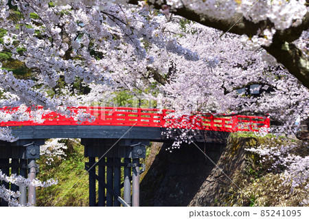 Sakurakei Hirosaki Castle Sugi no Ohashi Sakurakei Hirosaki Castle Sugi no Ohashi 85241095