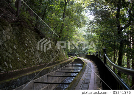 琵琶湖運河 85241576