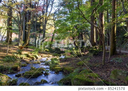 Naritasan Park: A clear stream pouring into the pond of Bunshu Naritasan Park: A clear stream pouring into the pond of Bunshu 85241578