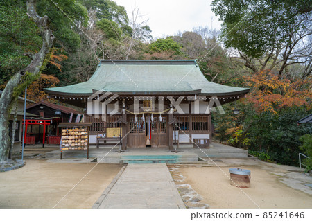 板屋堂八幡神社(兵庫縣神戶市) 板屋堂八幡神社(兵庫縣神戶市) 85241646