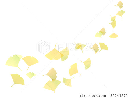銀杏水彩背景素材 85241871
