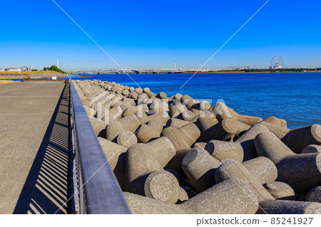 Wakasu Seaside Park, Koto-ku, Tokyo Tetrapod 85241927